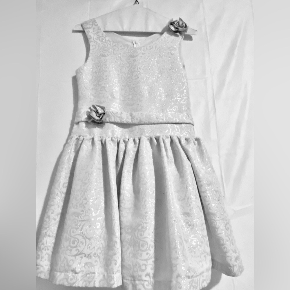 Girls Fancy Dress